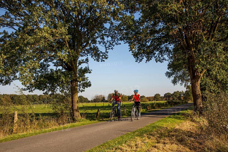 Cyclist, cycle tour in the Dingdener Heide nature reserve, heath and moorland landscape, north of the village of Dingden, part of Hamminkeln, cultural landscape, North Rhine-Westphalia, Hohe Mark Westmünsterland nature park Park