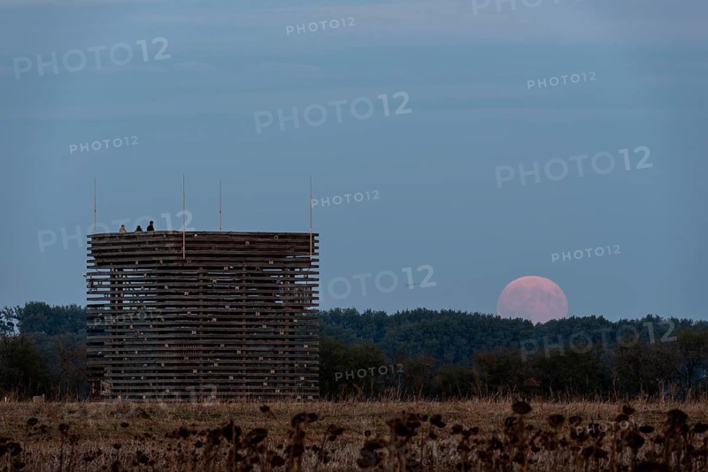 Supermoon rises behind the observation tower of the Ring Shrine Pömmelte, Pömmelte, Saxony-Anhalt, Germany, Europe