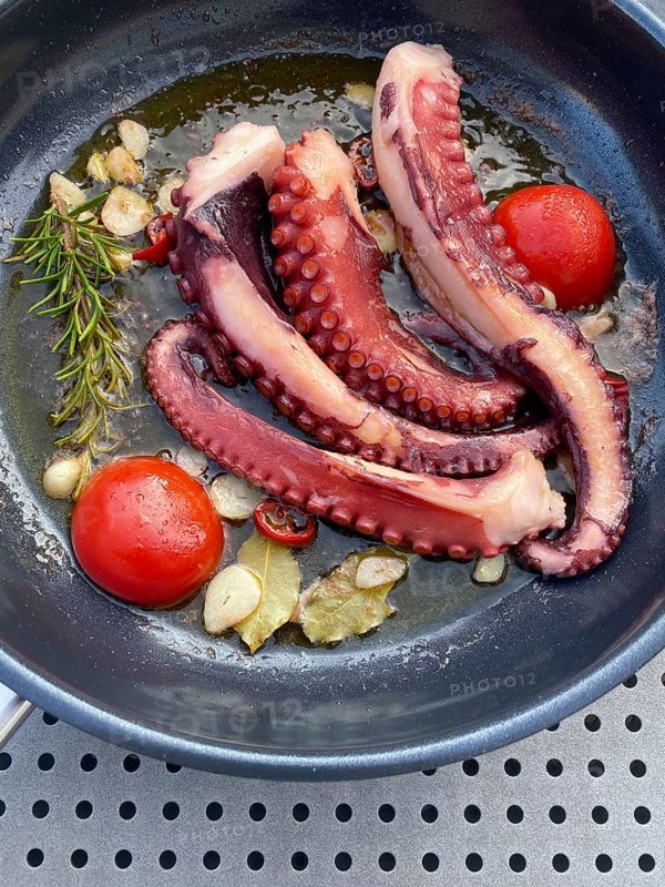 Squid, octopus, olive oil, garlic, tomatoes, in the pan, Food, Stuttgart, Baden-Württemberg, Germany, Europe