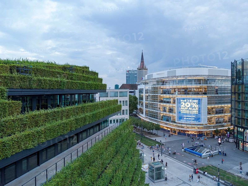 Der Kö Bogen II, Europas größte Grünfassade aus Hainbuchen, Düsseldorf, Nordrhein-Westphalen, NRW, Deutschland