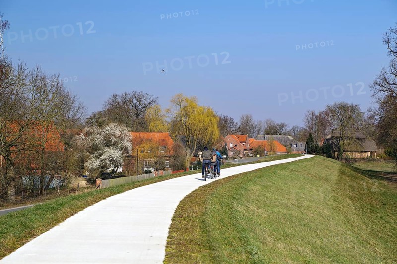 Three people walking and cycling along a path past blossoming trees, Elbe dyke, Damnatz, Wendland, Lower Saxony, Germany, Europe