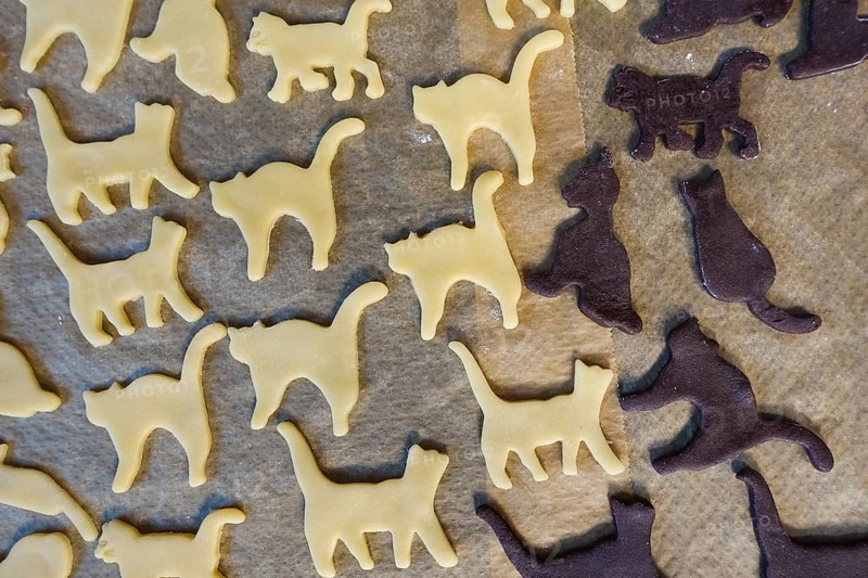 Swabian cuisine, Swabian Christmas biscuits, preparation of Ausstecherle, shortbread biscuits, cat figures, raw dough pieces with cocoa and white on baking paper, typical Swabian, baking, Christmas biscuits, sweet biscuits, Gutsle, Bredle, baked goods, from the oven, traditional cuisine, food photography, studio, Germany, Europe