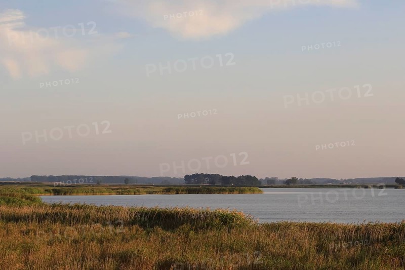 On the Baltic Sea near Peenemünde, September, Mecklenburg-Western Pomerania, Germany, Europe