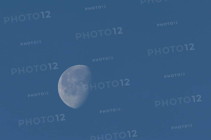The moon at the waning gibbous stage in the evening sky, England, United Kingdom, Europe