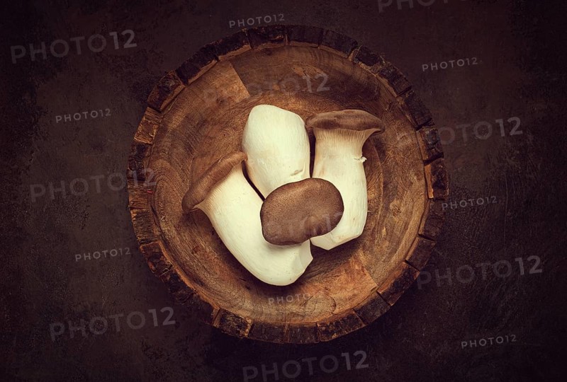 Fresh eringi mushrooms, raw, royal oyster mushrooms, three pieces, Asian cuisine, no people