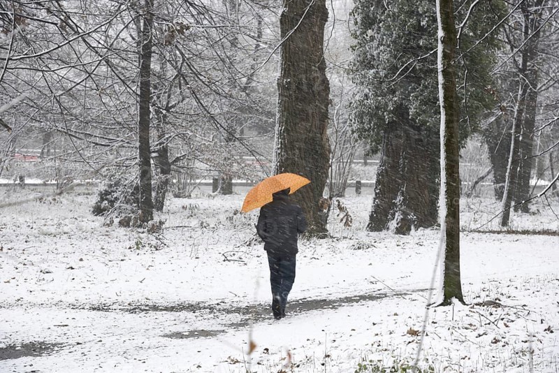 Man Walking on the Path in the Forest with an Umbrella when it's Snowing in a Snowy Winter Day in Locarno, Ticino, Switzerland, Europe