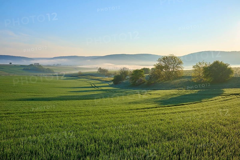 Morning landscape with meadows and trees in the fog, sunrise behind hills, Mönchberg, Miltenberg, Spessart, Bavaria, Germany, Europe