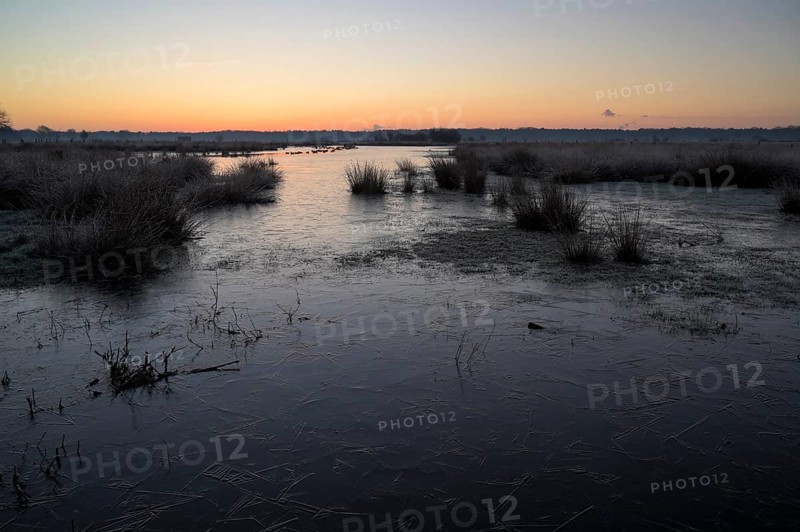 Blänke on a wet meadow, at frost, sunrise, morning, NSG Dingdener Heide, North Rhine-Westphalia, Germany, Europe