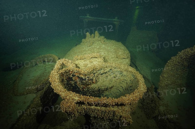 Rusted ship metal, with shells, quagga triangle mussel (Dreissena rostriformis bugensis), invasive species, covered, lying peacefully in dark depths, dive site wreck of the Jura, Lake Constance, Bottighofen, Switzerland, Münsterlingen, Germany, Europe