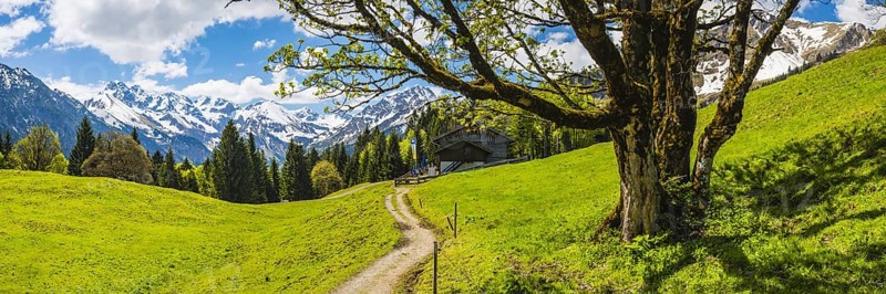 Berggasthof Hochleite, behind it the Allgäu Alps, Allgäu, Bavaria, Germany, Europe