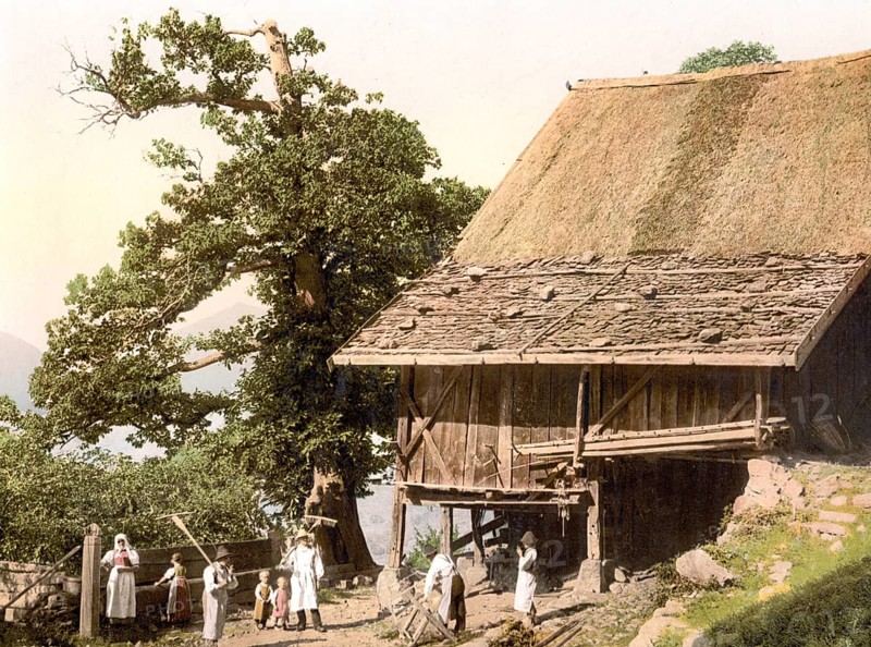 Farmhouse near Merano, Tyrol, formerly Austria-Hungary, today South Tyrol, Italy, Historical, digitally restored reproduction from a 19th century original, Record date not stated, Europe