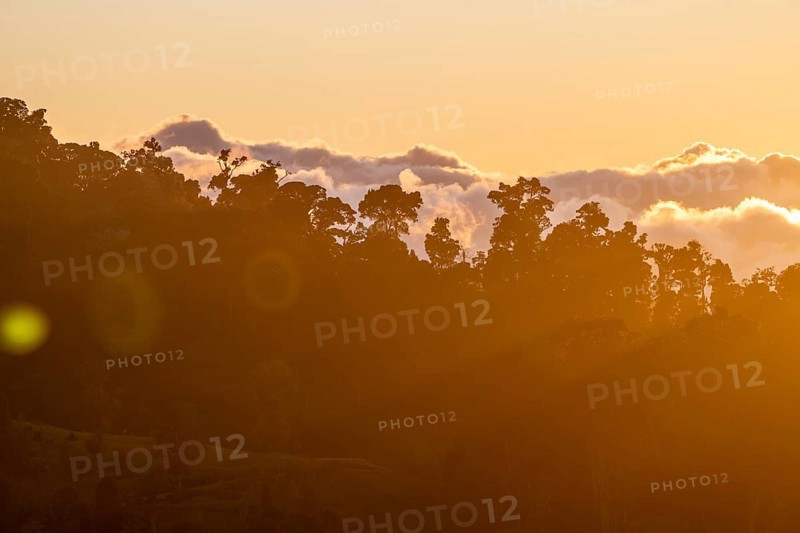 Evening mood, clouds over cloud forest, mountain rainforest, Parque Nacional Los Quetzales, Costa Rica, Central America