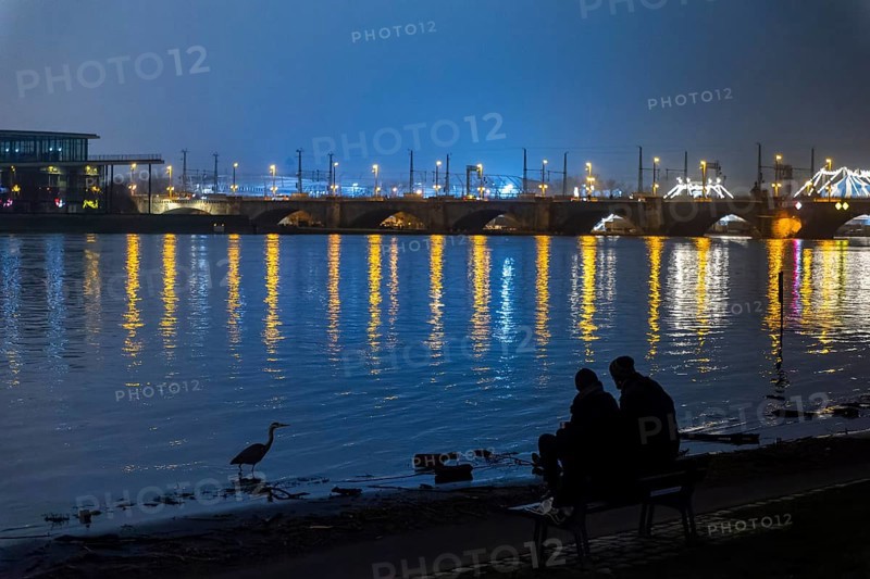 At the first flood of 2024, the peak has been passed and the water levels are slowly falling again. The Elbe meadows on the Neustäter Ufer are still flooded and the historic old town skyline is reflected impressively large A heron strides along the banks of the Elbe, Dresden, Saxony, Germany, Europe