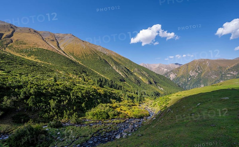Mountain stream in a high valley, Keldike Valley on the way to the Ala Kul Pass, Tien Shan Mountains, Kyrgyzstan, Asia