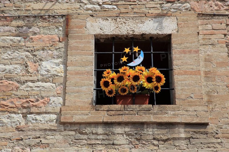 Window with a bunch of plastic flowers, sunflowers, in the historic centre of Assisi, Umbria, Italy, Europe