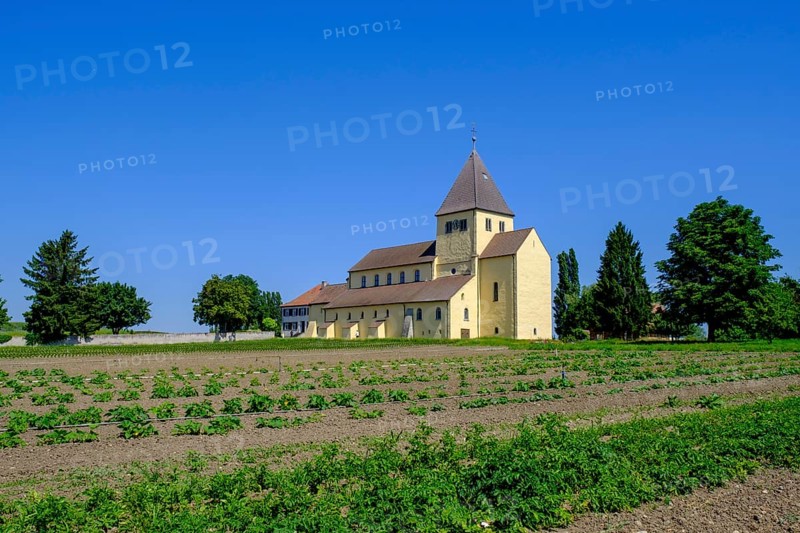 Vegetable fields in front of St George's parish church, UNESCO World Heritage Site, Oberzell, Reichenau Island on Lake Constance, Baden-Württemberg, Germany, Europe