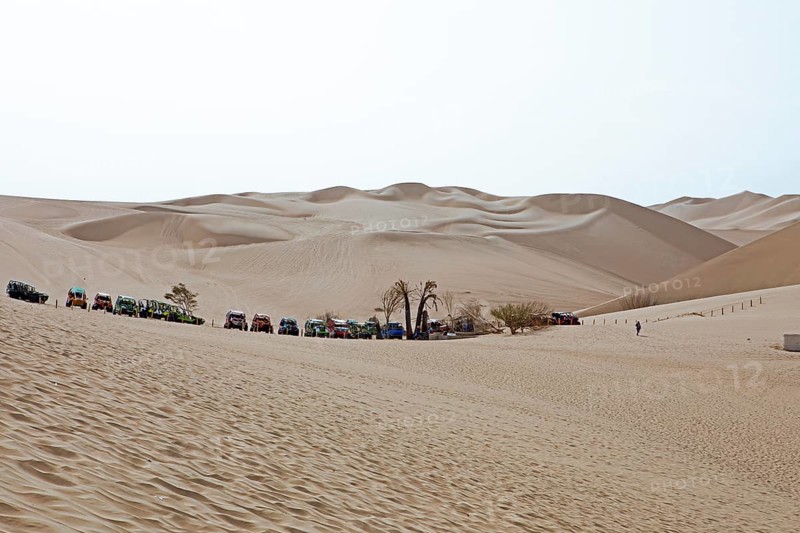 Beach buggies in the dune landscape, Laguna de Huacachina oasis, Ica, Ica region, Ica province, Peru, South America