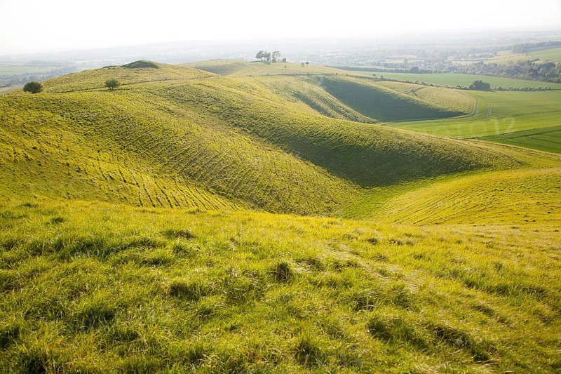 Summer view arable fields chalk landscape from Cherhill Down escarpment, Wiltshire, England, UK