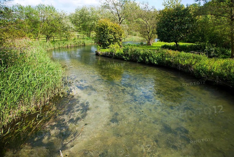Clear water of meandering River Kennett chalk stream at Axford, Wiltshire, England, United Kingdom, Europe