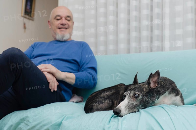 A happy man relaxes at home with his rescued greyhound. The close-up captures the dog's expression, while the owner smiles in the background