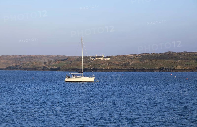Yacht and farmhouse on Ringarogy Island from Baltimore, Roaringwater Bay, County Cork, Ireland, Irish Republic, Europe