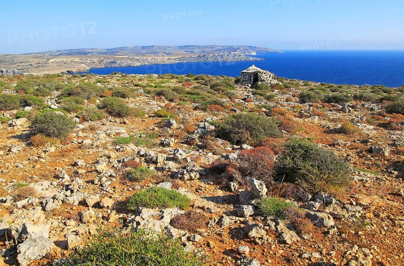 Coastal scenery vegetation blue sea looking south from Res il-Qammieh, Marfa Peninsula, Republic of Malta