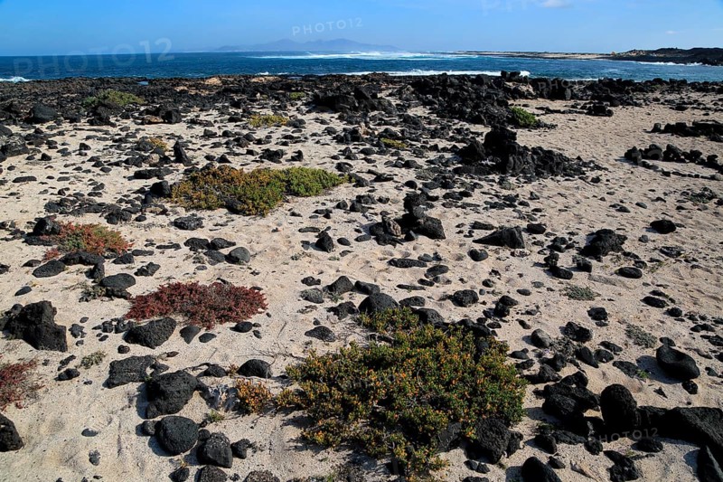 Beach rocks and white sand, near Majanicho on north coast of Fuerteventura, Canary Islands, Spain, Europe
