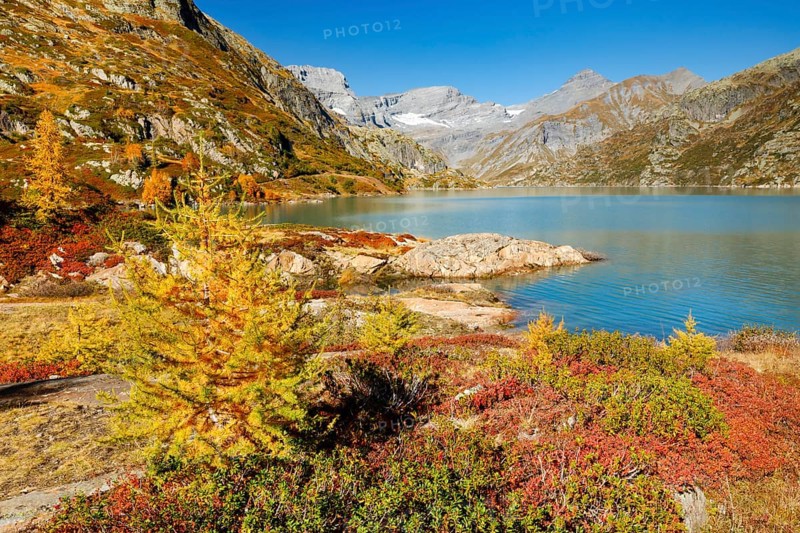 Autumn colours at Lac d'Emosson in the Valais mountains, Switzerland, Europe