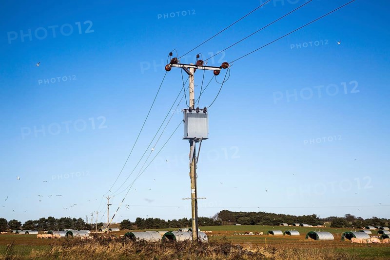 Electricity power supply lines held on wooden telegraph poles crossing fields against blue sky, Butley, Suffolk, England, UK