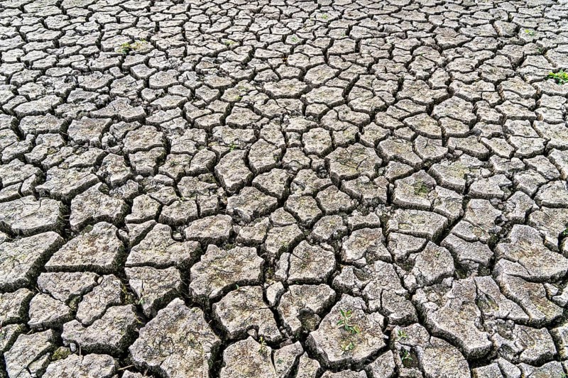 Dry ground, cracked, dried-up riverbed, in a branch of the Rhine, near Duisburg