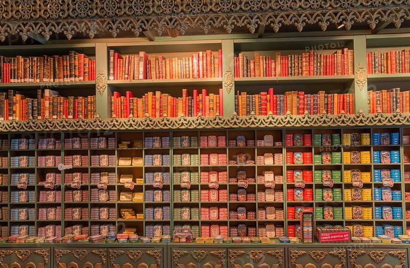 Shelf wall with decorative books and tinned food in bright colours, sardine tins, tinned sardines, Óbidos, Obidos, Oeste, Centro, Estremadura, Portugal, Europe