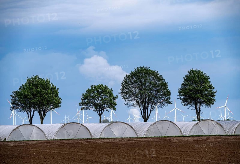 Agriculture, large areas with foil tunnels, for growing strawberries, south of Lövenich, belongs to Erkelenz, in the district of Heinsberg, wind farm, Neurath lignite-fired power station, North Rhine-Westphalia, Germany, Europe