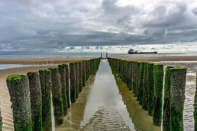 North Sea coast in Zeeland, called Zeeland Riviera, breakwater, made of wooden piles, near Zoutelande, freighter Selvaagsund, municipality of Veere, Netherlands