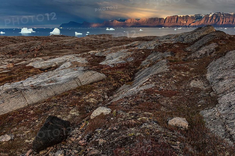 Evening light and atmosphere in fjord with icebergs in front of steep mountains, cloudy, autumn, Scoresby Sund, East Greenland, Greenland, North America