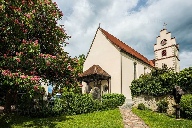 Parish church of St John and Vitus, Horn, Höri peninsula, Lake Constance, Baden-Württemberg, Germany, Europe