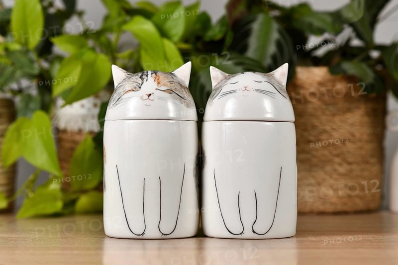 Germany, October 2023: Two custom made cat pet urns on table, Europe