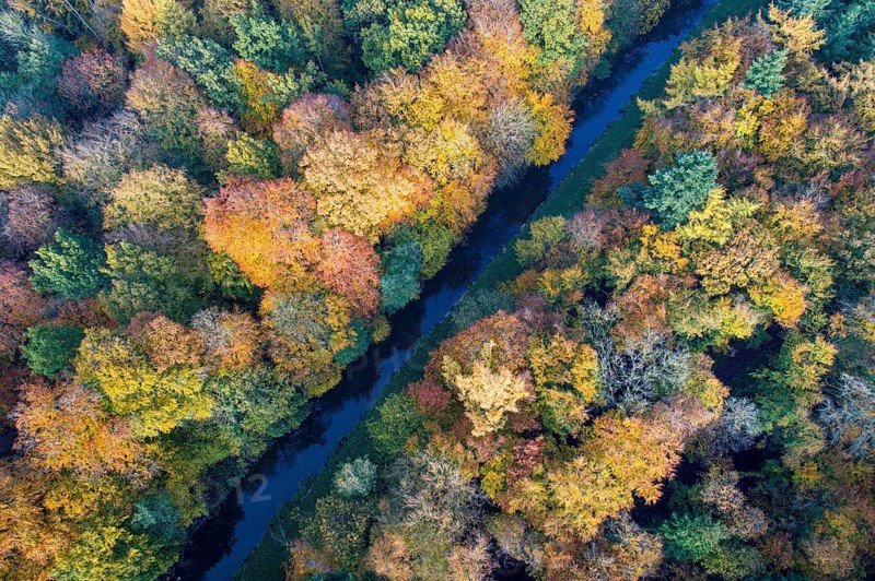 Mixed forest in autumn, colouring, aerial view, forest, autumnal, district Vechta, Moorbach, Daren, Bakum, Lower Saxony, Germany, Europe
