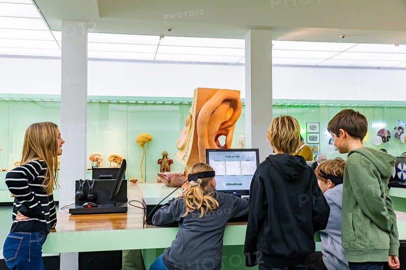 Founded in 1912, the Deutsches Hygiene-Museum is a museum in Dresden. It sees itself as a public forum for science, culture and society. Listening station with ear model