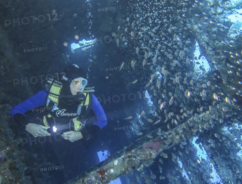 Shoal of glassfish and divers in the wreck of the Carnatic, Red Sea, Egypt, Africa
