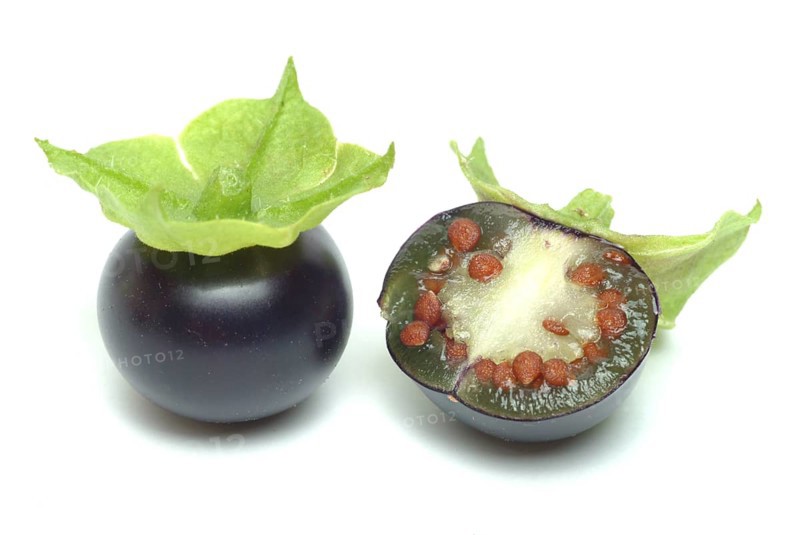 Food, fruit, black Jaltomata, Jaltomata procumbens is a plant species from the genus Jaltomata in the nightshade family