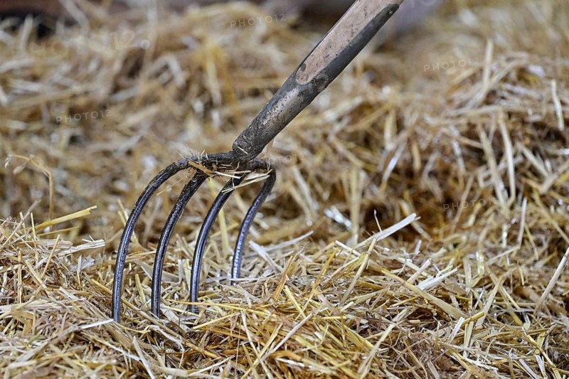 Symbol photo pitchfork