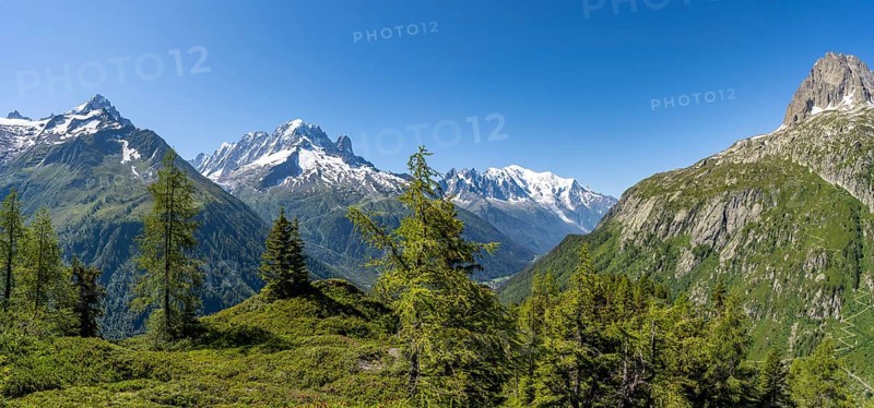 Mountain panorama with glaciated mountain peaks, Aiguille Verte with Aiguille du Midi and Mont Blanc, hike to Aiguillette des Posettes, Chamonix, Haute-Savoie, France, Europe