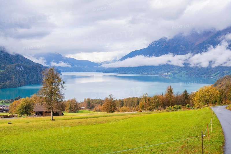 Picturesque lake landscape with mountains and clouds in the background, Lake Brienz, Switzerland, Europe