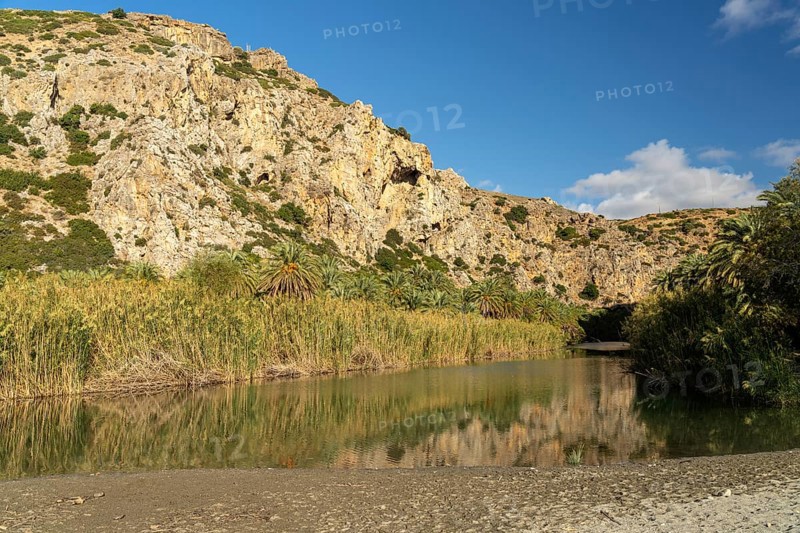 Phoenix theophrasti palms and the river Megalopotamos in the gorge of Preveli, Crete, Greece, Europe
