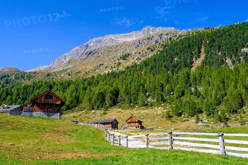 Staller Almen, high valley, Staller Sattel, Defereggen Valley, East Tyrol, Austria, Europe