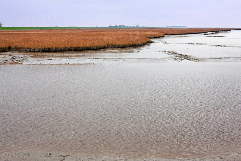 Low tide, mudflats, Dollart, Nieuwe Statenzijl, Netherlands