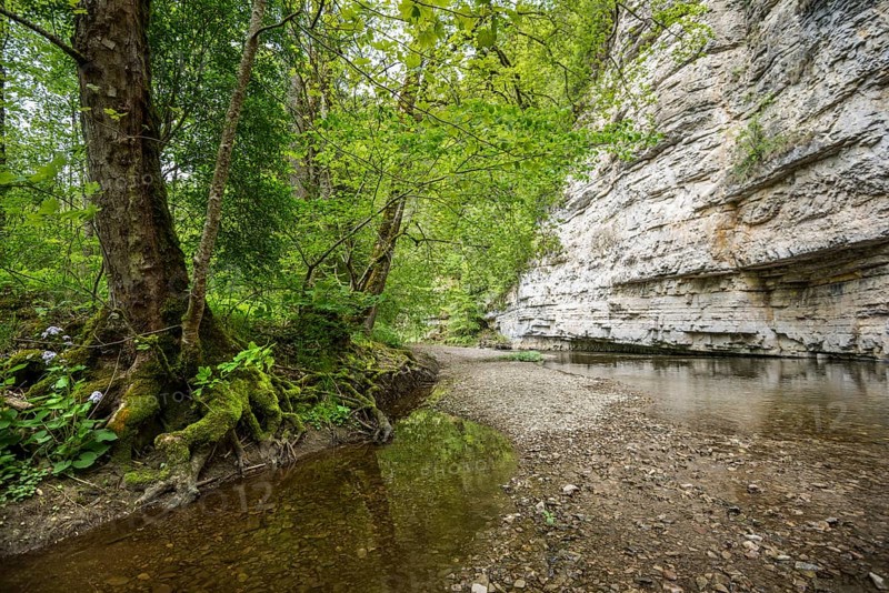 Steep cliffs and river, Wutach Gorge, Bonndorf, Baden-Württemberg, Black Forest, Germany, Europe