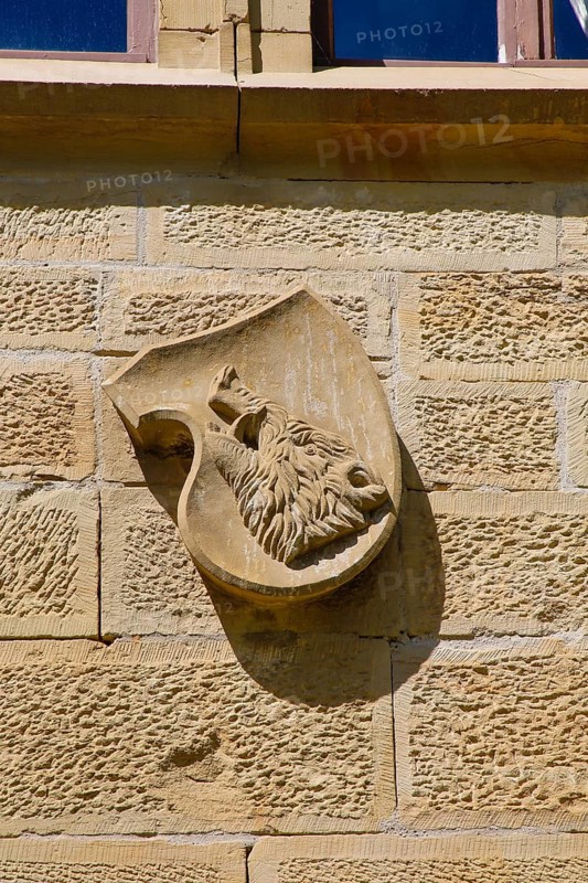 Coat of arms, stone plaque, relief, head of a wild boar, Varbüler Castle, Hemmingen Castle, former seat of the barons of Varnbüler, main building today town hall, neo-Gothic, historical buildings, architecture, Hemmingen, Ludwigsburg district, Baden-Württemberg, Germany, Europe