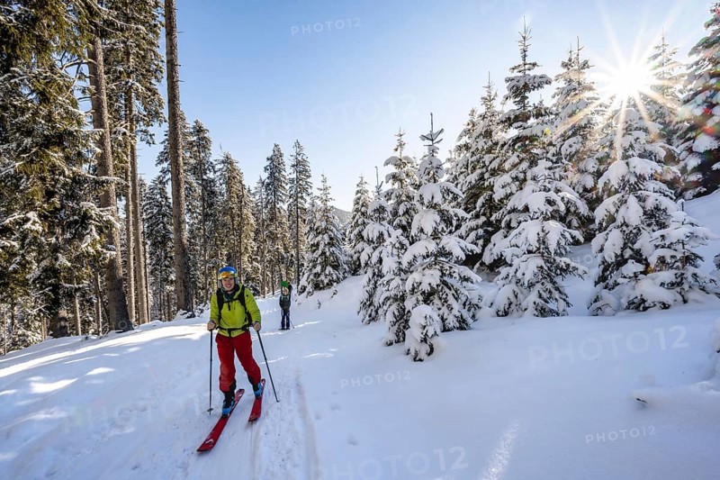 Ski tourers and snowshoe hikers in snowy winter forest with sun star, ascent to Teufelstättkopf, Snowy mountain landscape, Ammergau Alps, Bavaria, Germany, Europe