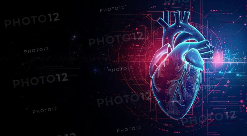 Concept of technology and innovation in health and heart research. Heart health monitoring, AI generated